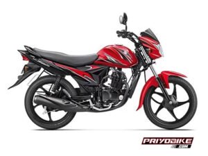 suzuki-hayate-back
